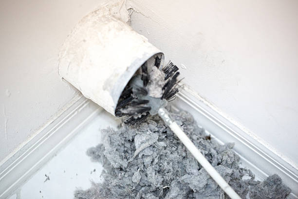 Air Duct Mold Removal in SC